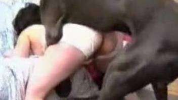 White stockings hottie enjoying her dog's throbbing boner