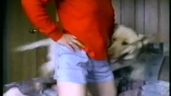 Homemade amateur sex video featuring a promiscuous wife and the family dog