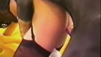 Dark-haired woman roughly pounded in her snug vagina by the canine