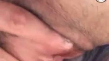 Up-close perspective of dark-haired spouse handling massive equine penis
