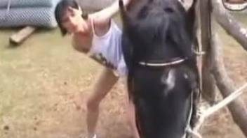 Cock sucking brunette woman on a big horse cock