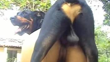 Tight whore tries a bit of dog cock in her warm vagina