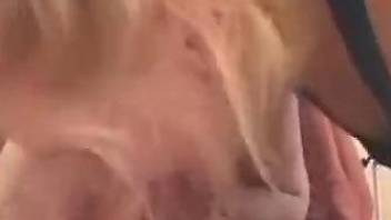 Hot woman shows amazing blowjob skills on a dog cock