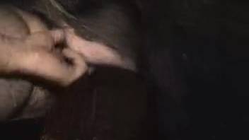 Dirty swine with an ultra-sharp and spiked cock screws a steamy barn tramp