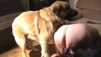 Plump mature woman into bestiality has her vagina fucked by a dog