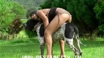Brunette Latina with short hair giving oral to a canine's dick