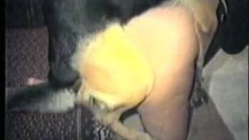 Curvy-assed novice beast-fucker whore screws her well-trained pooch