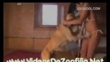 Naked woman hard fucked in the pussy by the dog