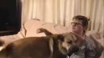 Spectacled blonde in hosiery pounded bareback