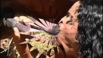 Wavy-haired dark-haired Hispanic woman blowing a massive cock