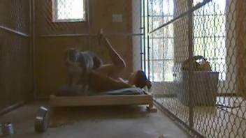 Aroused babe filmed in secret when trying sex with the dog