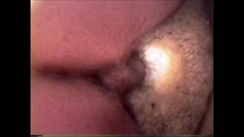 Guy thrusts deeply into the ewe's rear for a savage bestiality webcam session