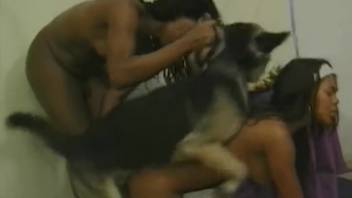 Lustful canine bangs two nude ladies hardcore