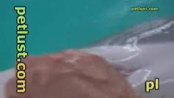Enthusiastic guy stroking a dolphin's pulsating erection