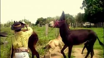 Steamy animal sex clip centered on screwing beasts