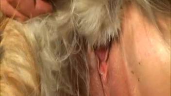 Huge canine smells and penetrates her vagina in the doggy position