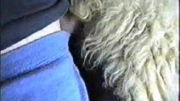 Guy banging a ewe's vagina in a steamy homemade clip