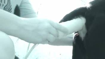 Guy banging his female dog's wet cunt with a huge dildo