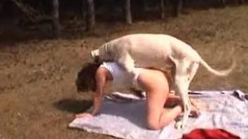 Solo beauty ends up getting fucked by the dog