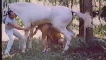 Curly-haired vixen pounded by a well-endowed stud