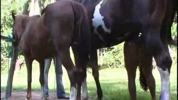 Bouncy-assed hottie gets pounded by an unfaithful stud
