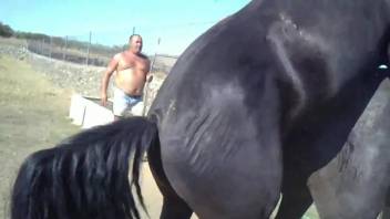 Fat zoophile dude watches two horses fuck hard