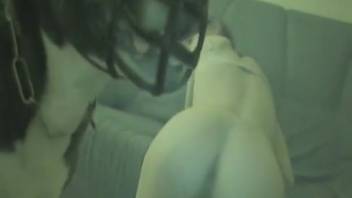 Ebony canine desires to screw a tempting newbie right here
