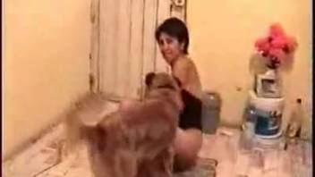 Soaked vagina adult hottie is penetrated doggy style