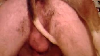 Shaggy butthole guy being overpowered by a fetishistic canine