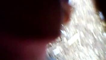 Guy with grimy hands enthusiastically stroking a horse's dick