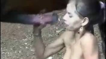 Hot booty babe gives the horse a wild blowjob
