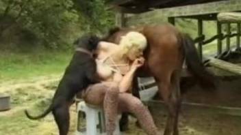 Busty blonde mommy in a threesome with horse and dog