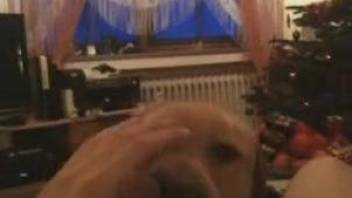 Lucky dude enjoys a POV blowjob from mom's dog
