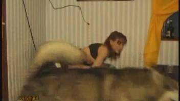 Ginger with red hair in striped stockings performing oral on a dog's penis