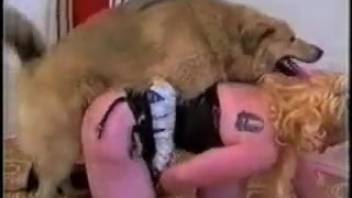 Voluptuous blond engages in intercourse with a canine in wild sequences