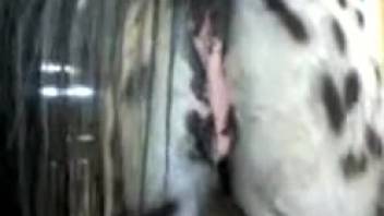 Freckled filly and her tasty twat displayed in close-up