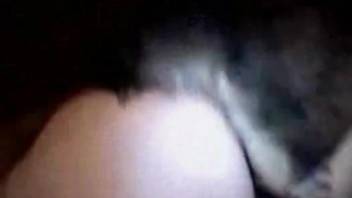 Amateur sex tape video with a submissive zoophile