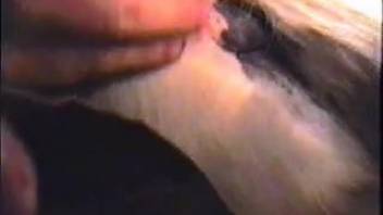 Aroused guy roughly pounding a female horse's wet pussy