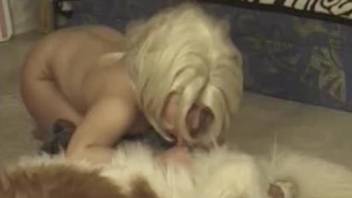 Wig-wearing beauty deepthroating a dog's hard cock