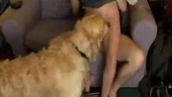 Aroused woman definitely enjoys the dog in her perverted fun