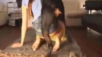 Attractive brown-haired woman pounded by a well-endowed black dog