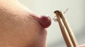 Blonde with pointy nipples fooling around with a bee