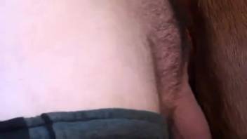 Guy banging a hot brunette creature from the rear