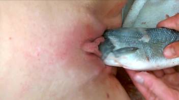 Dead fish fucking a wet pussy in a taboo video