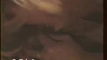 Blonde in stockings slurping on a dog's thick shaft
