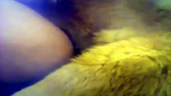 Aroused beast-lover being brutally fucked doggy-style