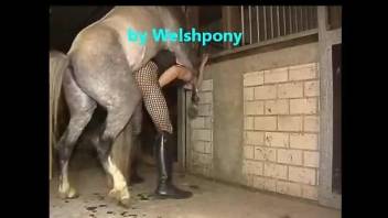 Sexy Welsh dude getting fucked savagely by a kinky pony