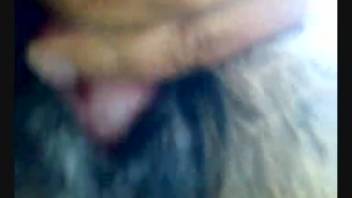 Guy banging a female horse's juicy pussy doggy style