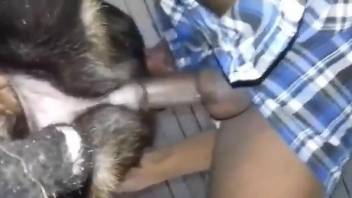 Sexy dog's tight pussy gets gaped by a horny stud