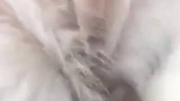Guy thrusts his tiny dick into a creature's steamy pussy
